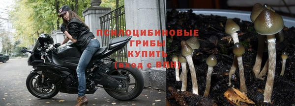 спайс Беломорск
