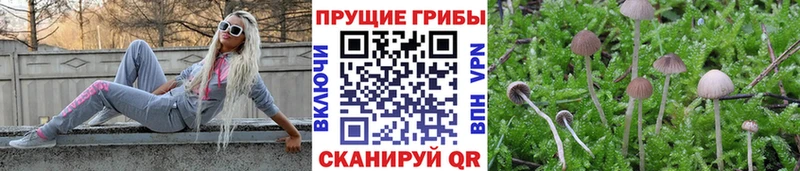 hydra ONION  Шумиха  Псилоцибиновые грибы Magic Shrooms  купить наркотик 